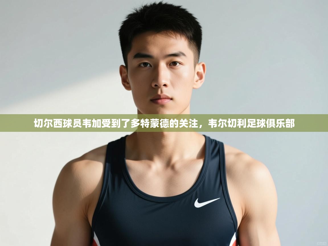 海星体育官方网站-切尔西球员韦加受到了多特蒙德的关注,韦尔切利足球俱乐部 第1张