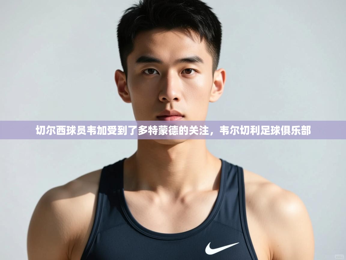 海星体育官方网站-切尔西球员韦加受到了多特蒙德的关注,韦尔切利足球俱乐部 第2张