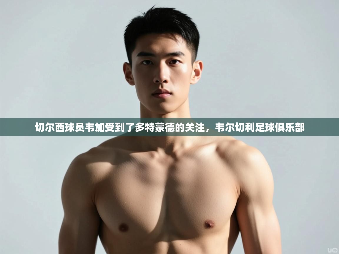 海星体育官方网站-切尔西球员韦加受到了多特蒙德的关注,韦尔切利足球俱乐部 第4张