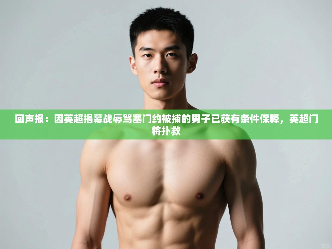 海星体育官方下载-回声报:因英超揭幕战辱骂塞门约被捕的男子已获有条件保释,英超门将扑救 第2张