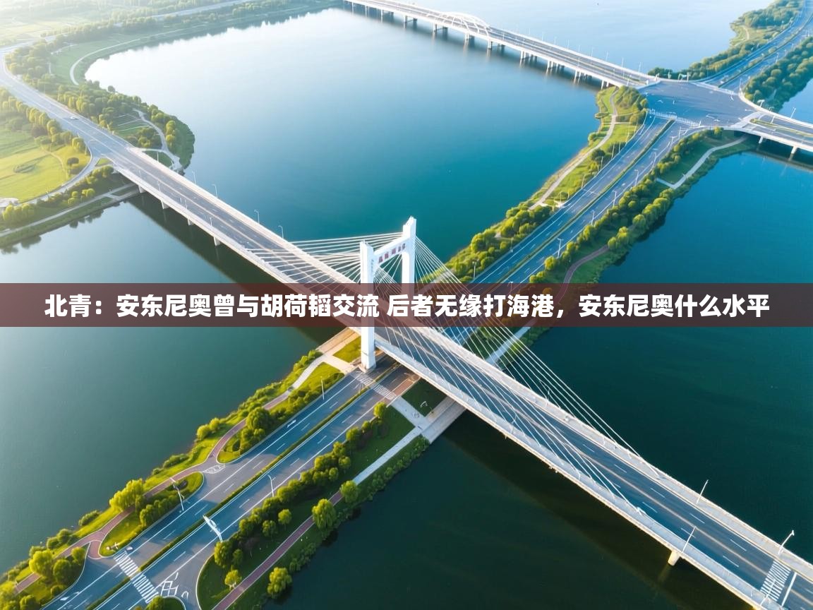 海星体育在线观看-北青：安东尼奥曾与胡荷韬交流 后者无缘打海港，安东尼奥什么水平  第2张