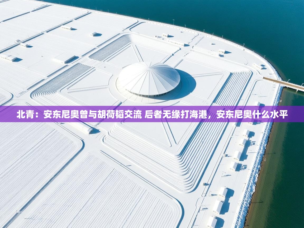 海星体育在线观看-北青：安东尼奥曾与胡荷韬交流 后者无缘打海港，安东尼奥什么水平  第3张