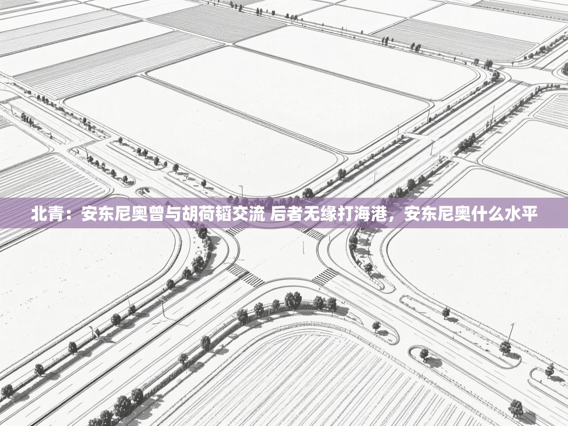 海星体育在线观看-北青：安东尼奥曾与胡荷韬交流 后者无缘打海港，安东尼奥什么水平  第4张