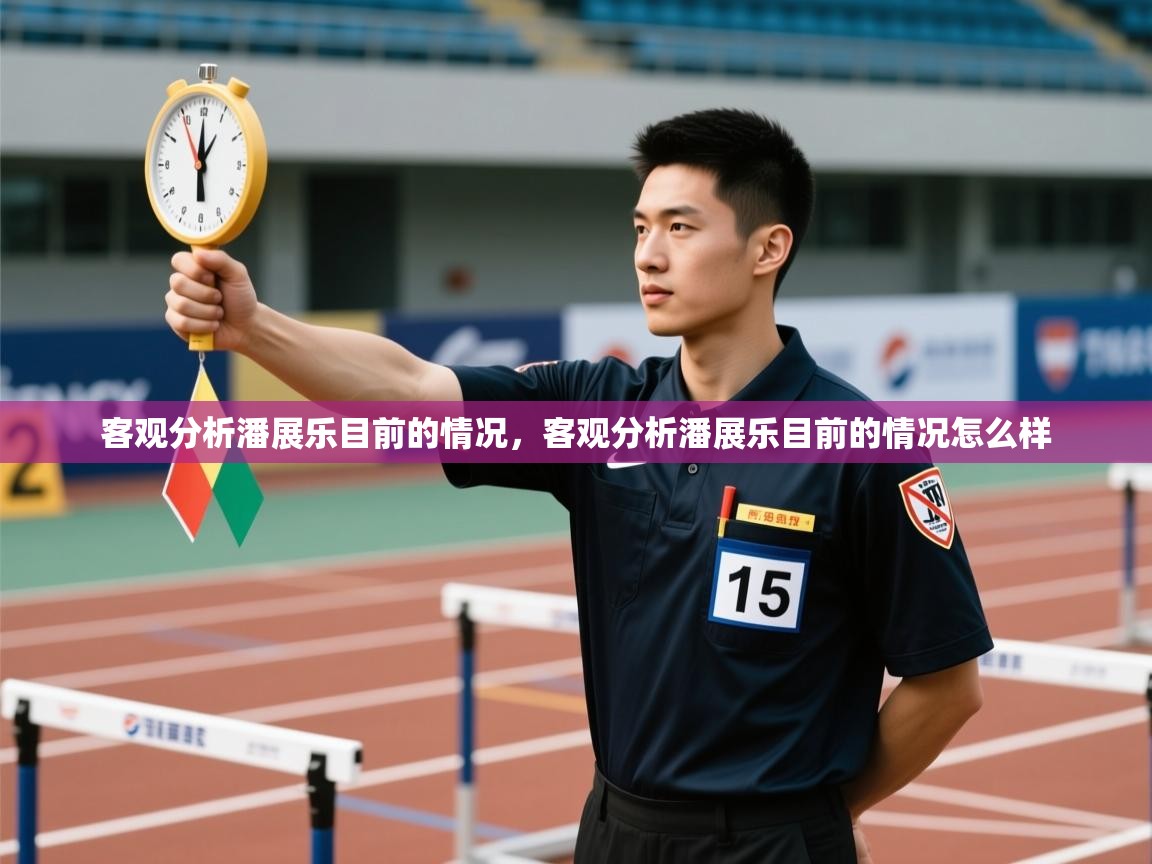 -客观分析潘展乐目前的情况,客观分析潘展乐目前的情况怎么样 第2张