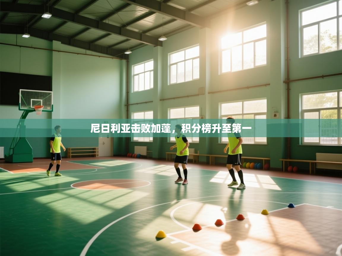 海星体育在线直播-尼日利亚击败加蓬，积分榜升至第一  第2张