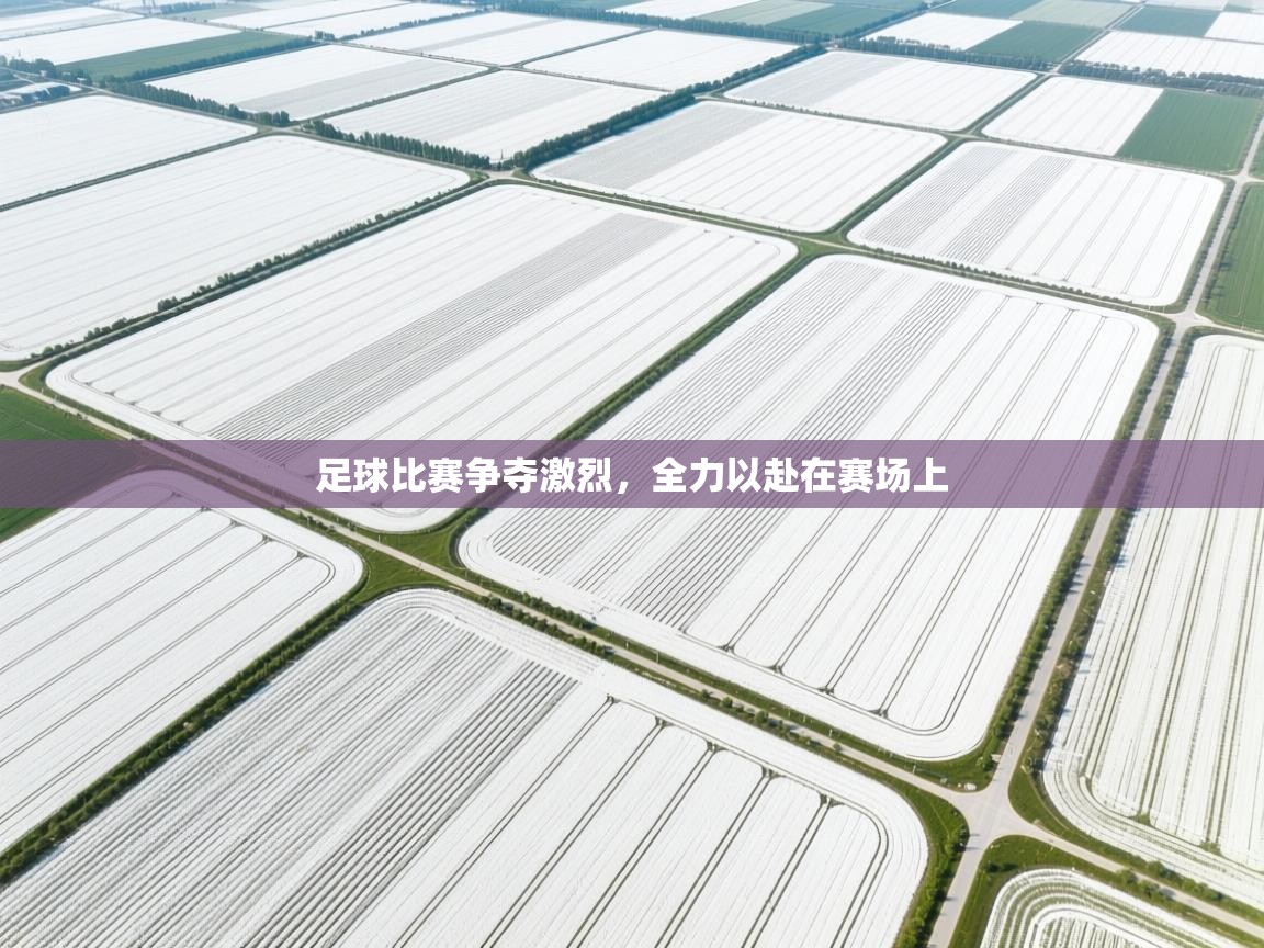 海星体育官网-足球比赛争夺激烈，全力以赴在赛场上  第1张
