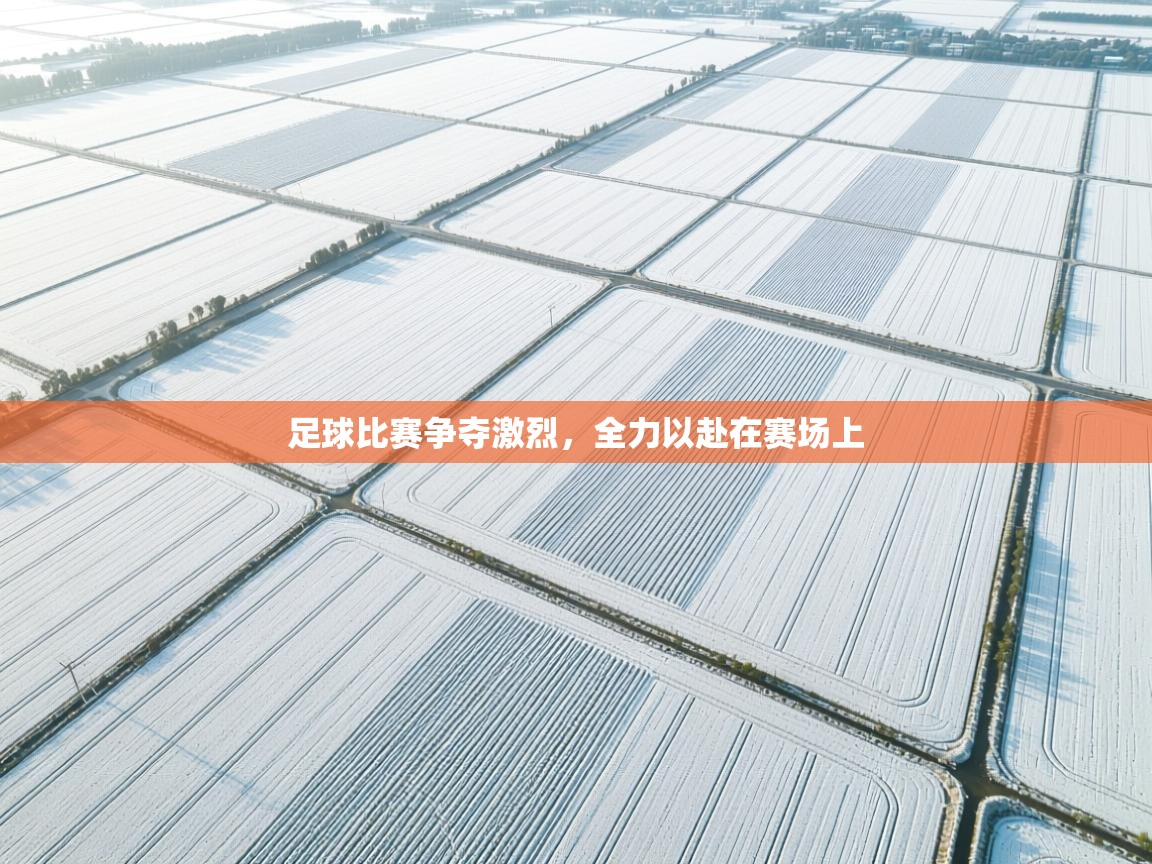 海星体育官网-足球比赛争夺激烈，全力以赴在赛场上  第4张