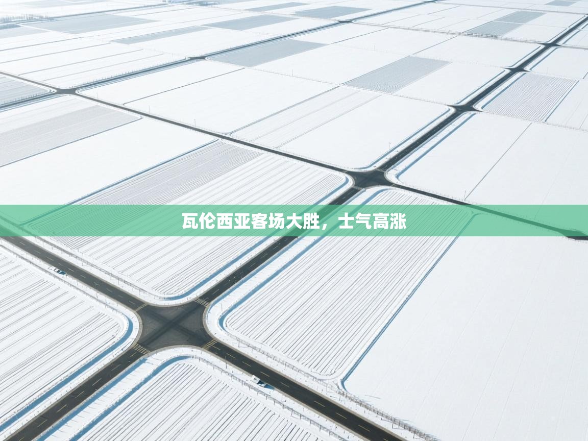 海星体育app-瓦伦西亚客场大胜,士气高涨 第3张