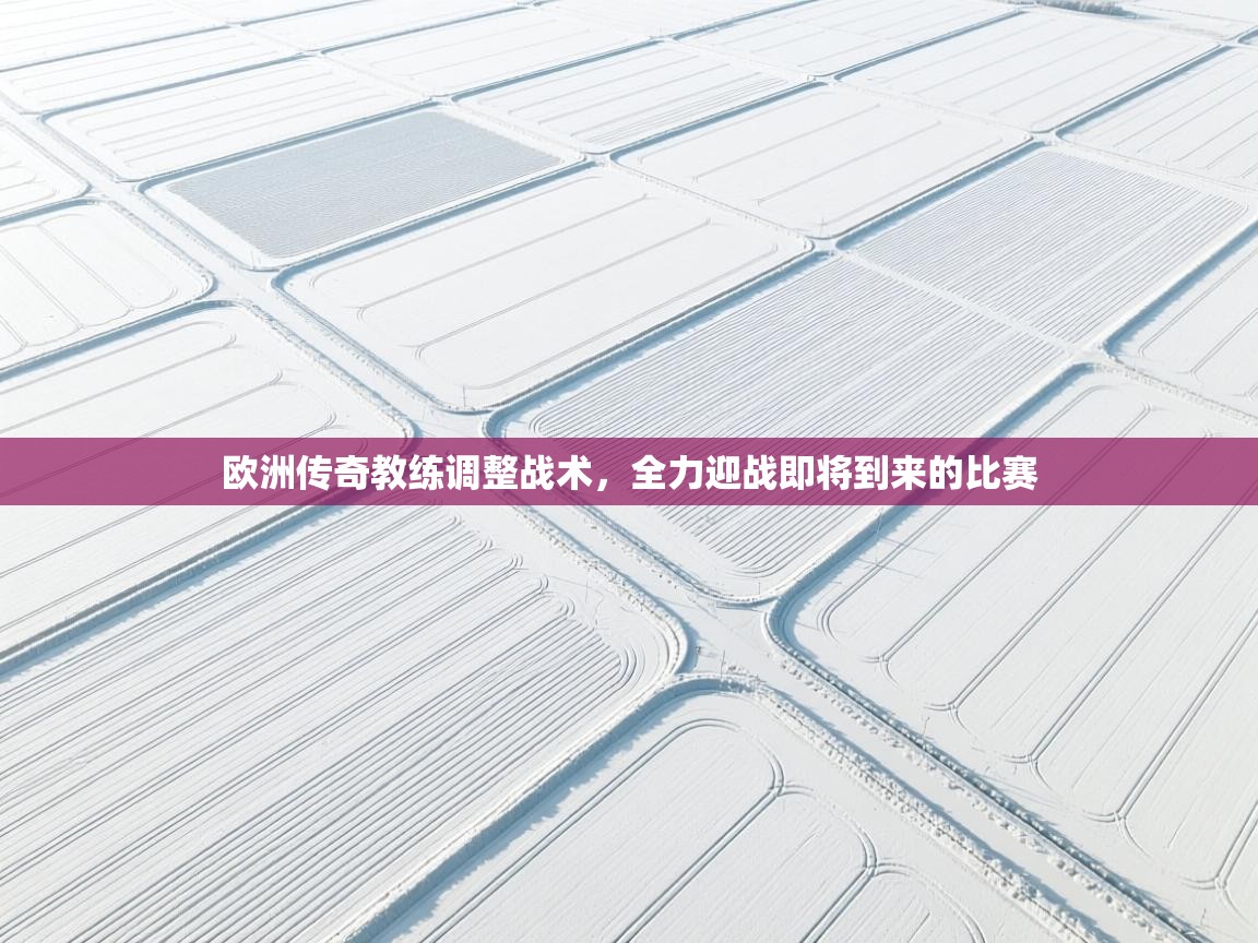 海星体育app下载-欧洲传奇教练调整战术，全力迎战即将到来的比赛  第1张