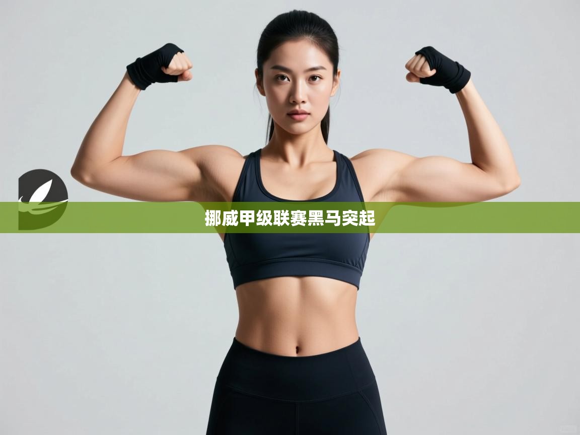 海星体育直播-挪威甲级联赛黑马突起 第3张