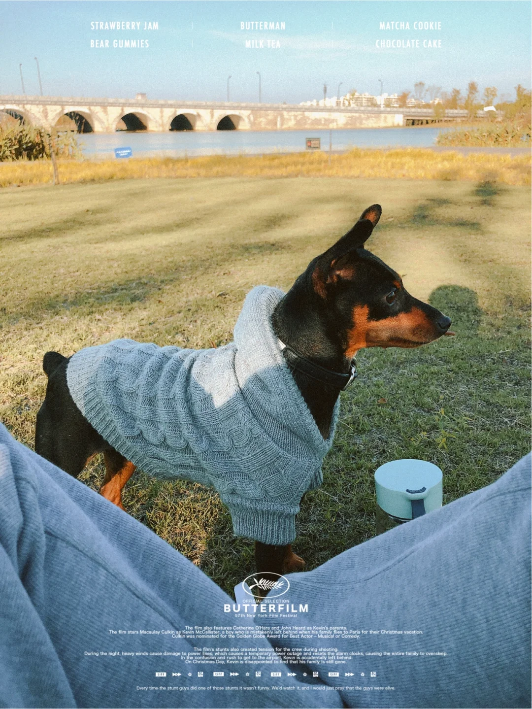 包含葡萄牙巨星赛后晒萌宠犬照片获粉丝点赞的词条